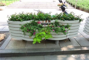 花箱底部如何处理