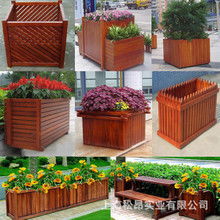 阳台花箱适合种什么花