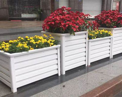 露台花箱种什么最合适