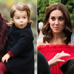 王妃 夏洛特夫人 黄金庆典