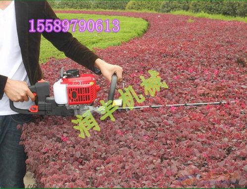 割灌绿篱机价格 质量好的绿篱机 节能绿篱机