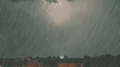 蓝色阴雨有没有刺