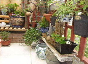 楼顶养花会导致漏水吗