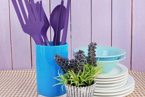 60厘米高花盆种什么