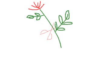 切花月季怎么修剪