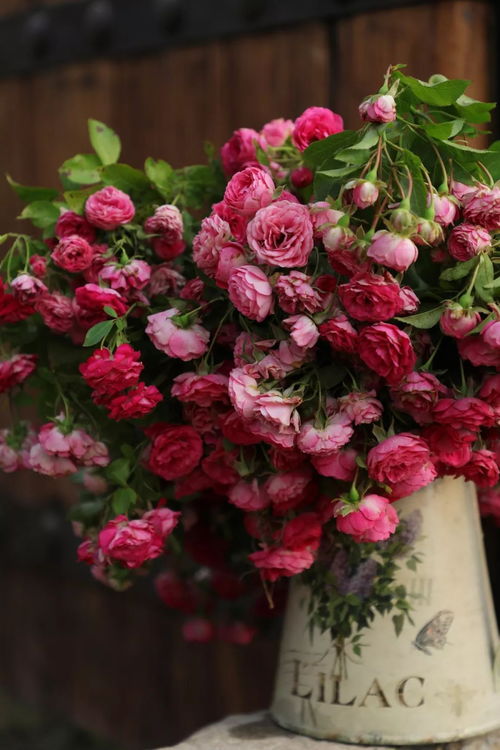 胭脂扣花期有多长时间