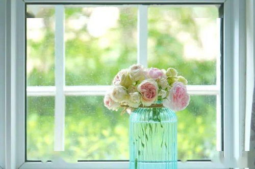 绒球门廊和门廊绒球是一种吗