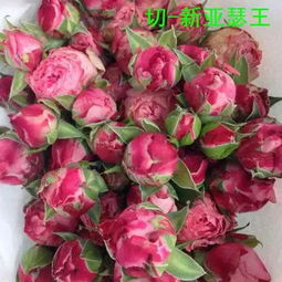 部分切花月季