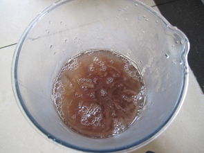 珊瑚果冻效果图