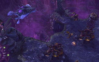 诺娃月季耐热吗