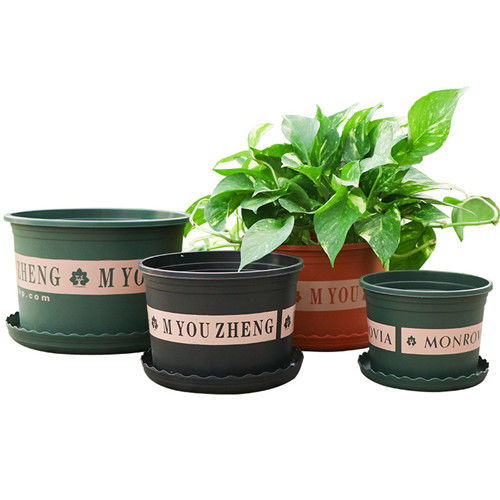 月季用高加仑还是矮加仑