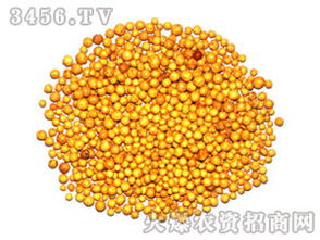 优惠券 十大品牌排行榜 哪个牌子好 元珍商城