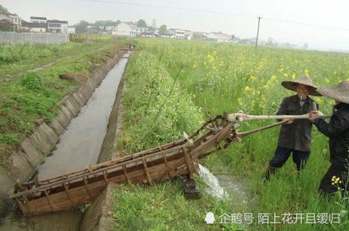农村水车的前世今生