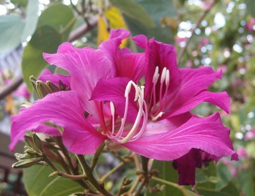 4月初,爱意难拾,风停雨止,三大星座,放下旧情,开展新恋情 感情