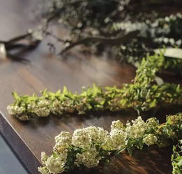 学会这三种入门级插花技能,插花就是这么简单