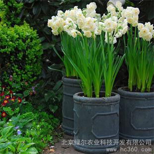 优惠券 十大品牌排行榜 哪个牌子好 淘宝商城 天猫商城精选 京东商城 拼多多商城