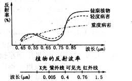 图中重度病害植物答案及详细解析过程 青夏教育精英家教网