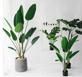10个小细节,瞬间让家里降温10