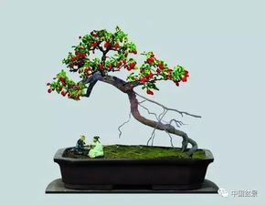 红色枸杞醉枝头 格桑花漫溢芬芳