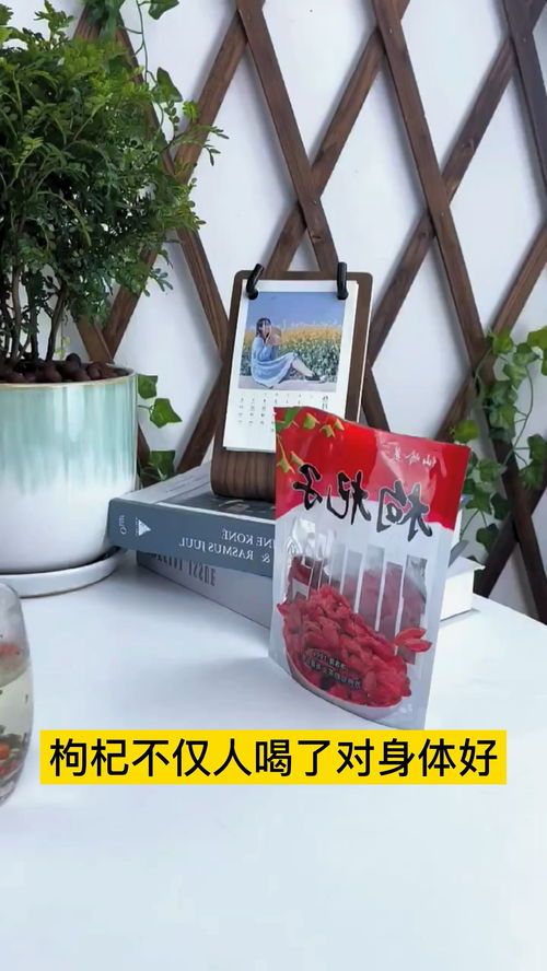 枸杞水能养花吗 零基础学习如何养花 养花小知识 枸杞 养花