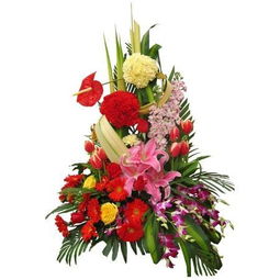 花材 搜狗百科