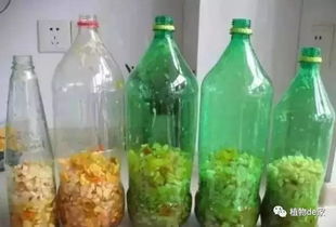 自制花肥特别臭 这招教你制作不臭的营养花肥