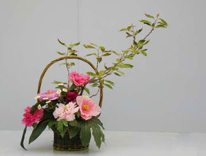 插花艺术 课件