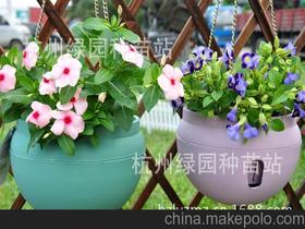 自动浇水花盆的原理价格 自动浇水花盆的原理批发 自动浇水花盆的原理厂家