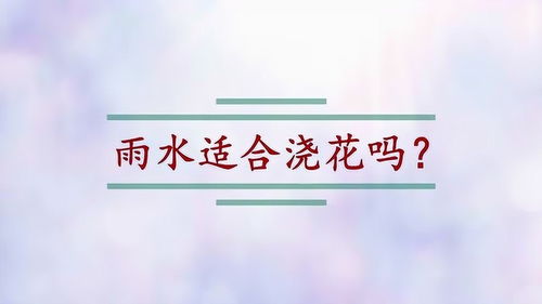 雨水适合浇花吗