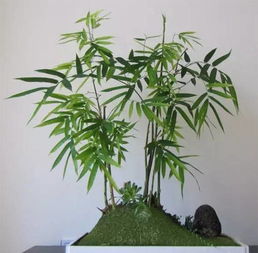 优惠券 十大品牌排行榜 哪个牌子好 淘宝商城 天猫商城精选 京东商城 拼多多商城