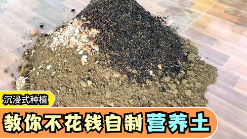 教你用最简单得材料,制作土壤肥沃得营养土,自己做的比买得好