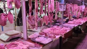 2022猪肉最近的价格是多少钱一斤?