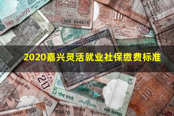 2020嘉兴灵活就业社保缴费标准
