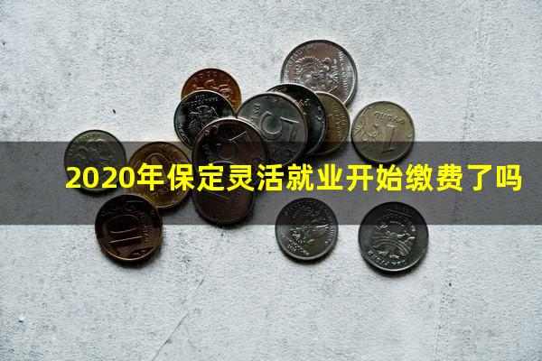 2020年保定灵活就业开始缴费了吗