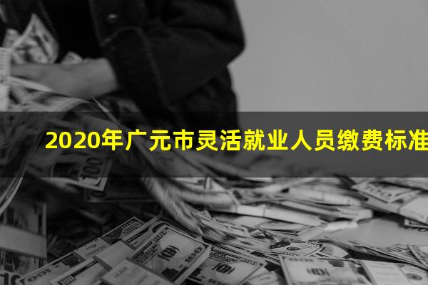 2020年广元市灵活就业人员缴费标准
