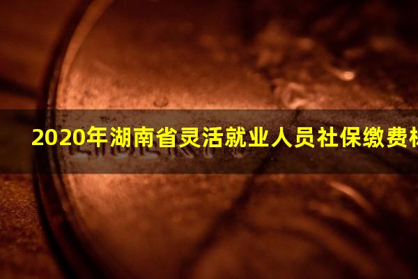 2020年湖南省灵活就业人员社保缴费标准