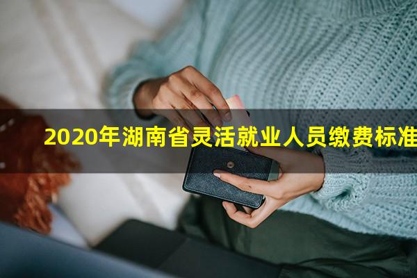 2020年湖南省灵活就业人员缴费标准