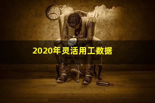 2020年灵活用工数据