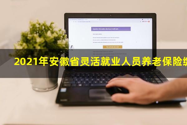 2021年安徽省灵活就业人员养老保险缴费标准
