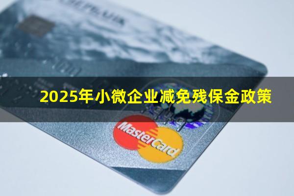 2025年小微企业减免残保金政策