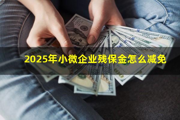 2025年小微企业残保金怎么减免