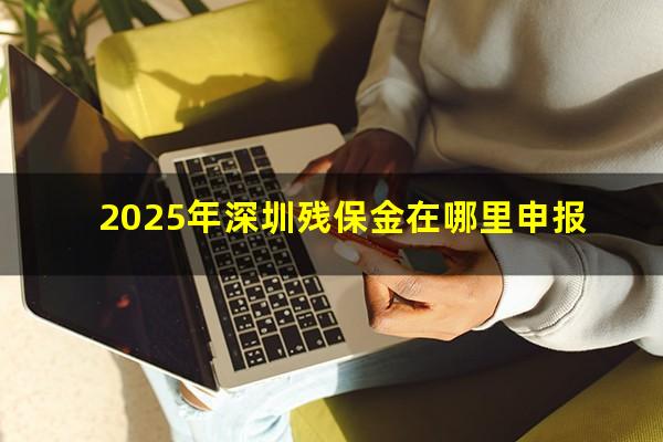2025年深圳残保金在哪里申报