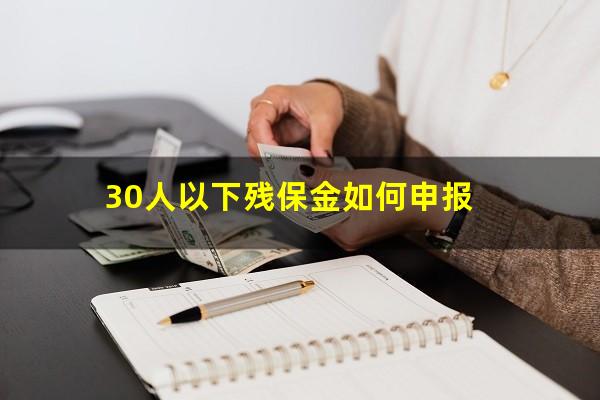 30人以下残保金如何申报
