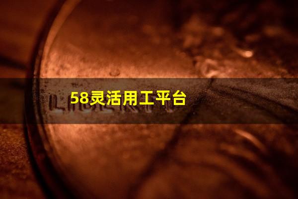 58灵活用工平台