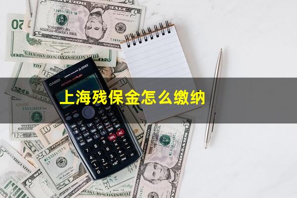 上海残保金怎么缴纳