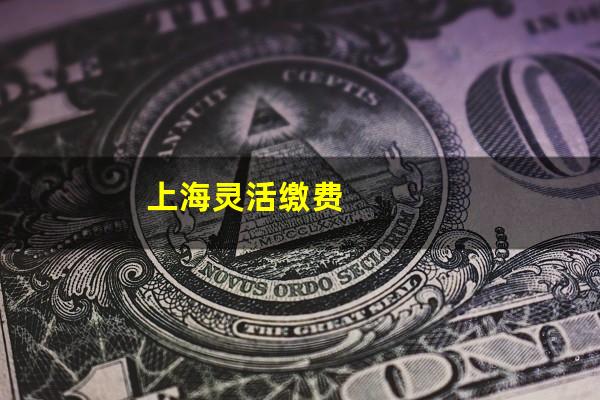 上海灵活缴费