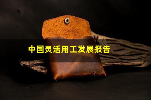 中国灵活用工发展报告