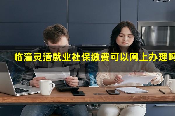 临潼灵活就业社保缴费可以网上办理吗