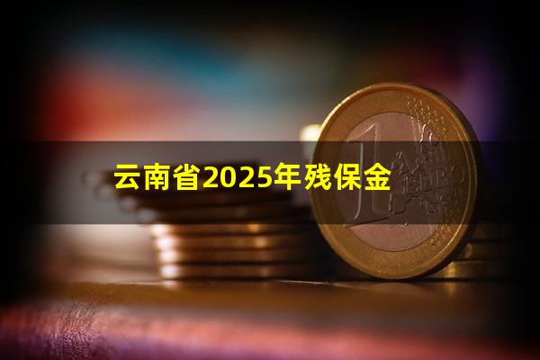 云南省2025年残保金