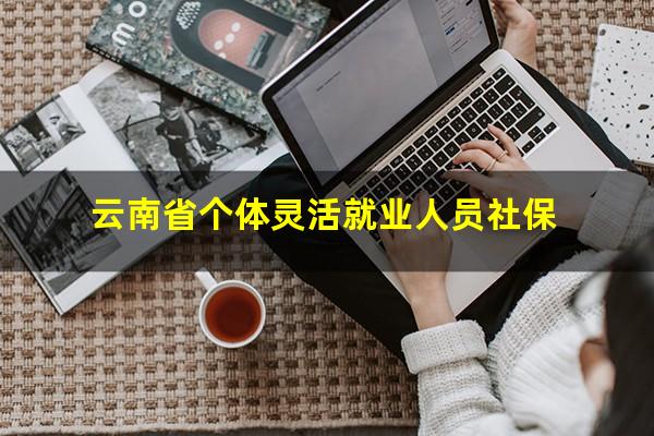 云南省个体灵活就业人员社保